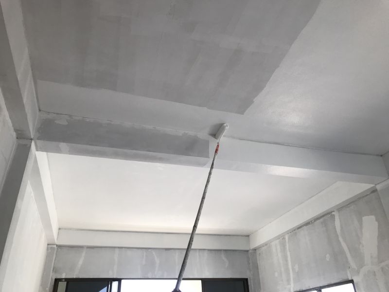 Commercial Ceiling Painting