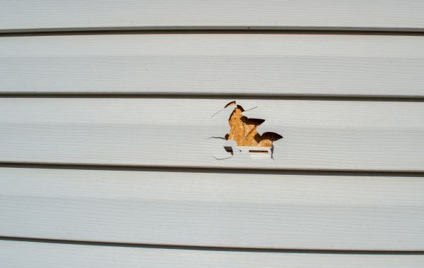 Cost of Siding Hole Patching in Boulder